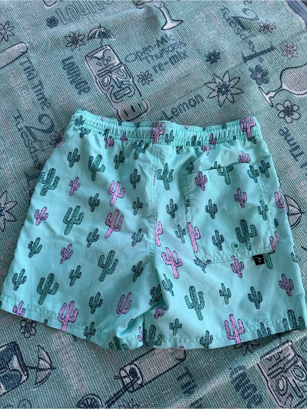 Boys Swim trunk Bundle 3 Shorts - Cat and Jack,Art Class and J. Crew - Size 10